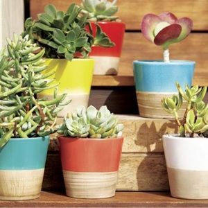 Set of 2! Crate & Barrel Carnivale Mini Planters, 4” in Yellow